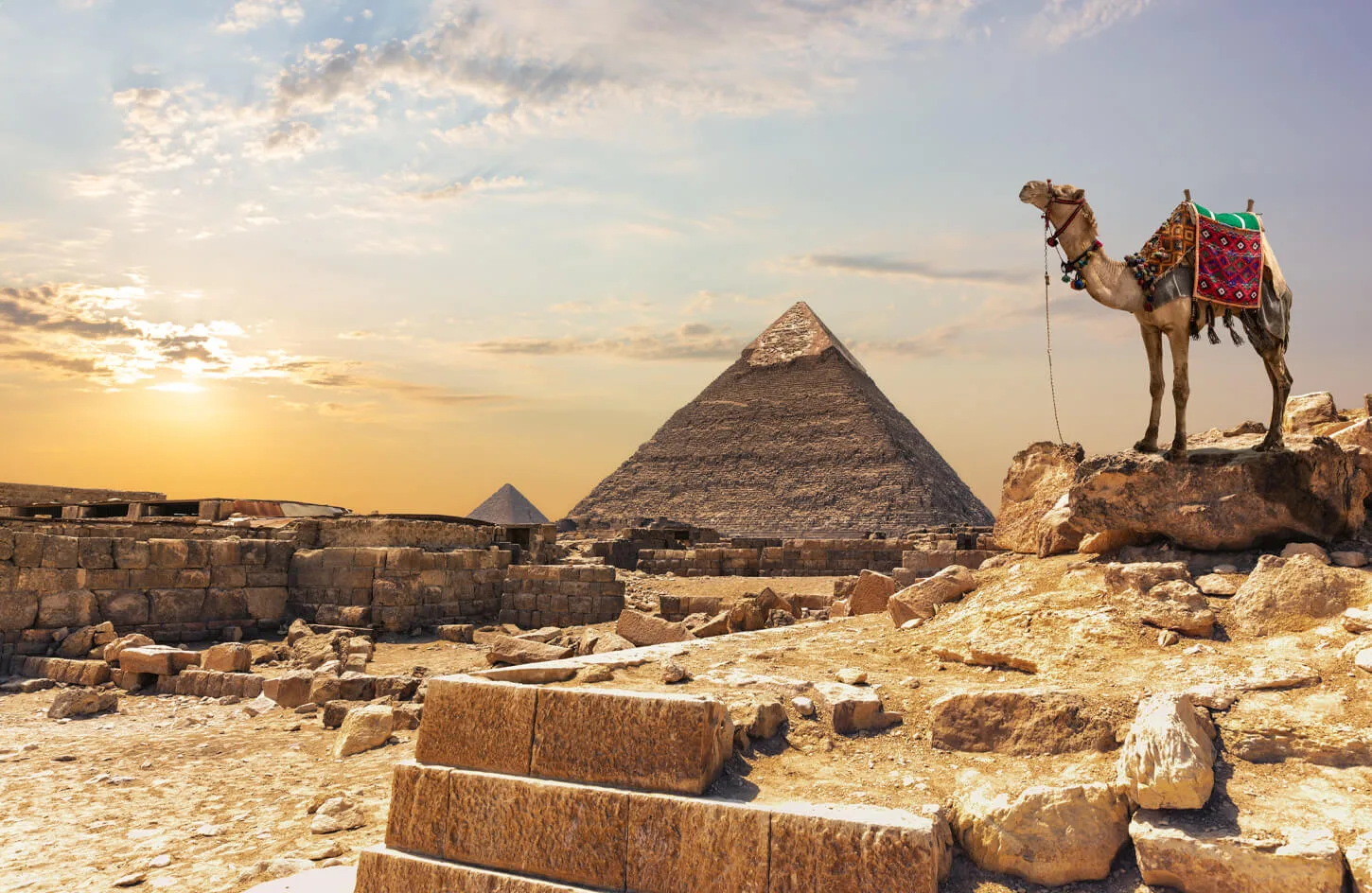 Wonderful-pictures-of-a-camel-in-front-of-the-pyramid-of-Khafre-at-sunset.jpg